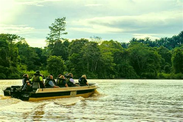 14 escort profiles in Kinabatangan, Malaysia. Browse companions, services, rates and book online. Incall and outcall available.