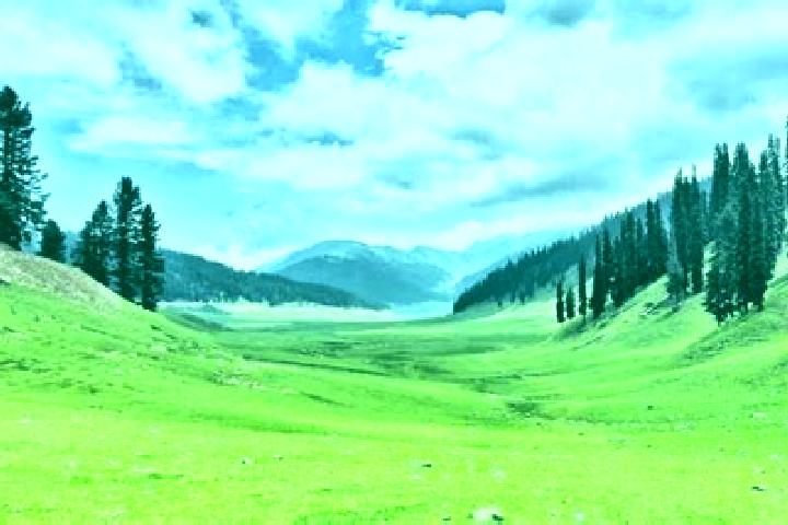 14 escort profiles in Kupwara, India. Browse companions, services, rates and book online. Incall and outcall available.