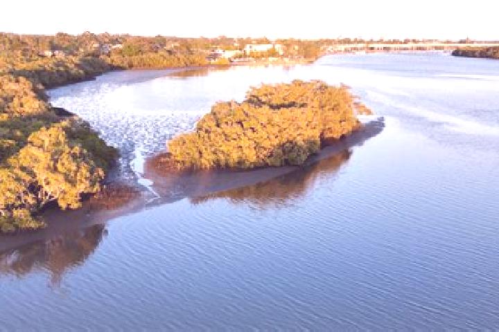14 escort profiles in Maroochy River, Australia. Browse companions, services, rates and book online. Incall and outcall available.
