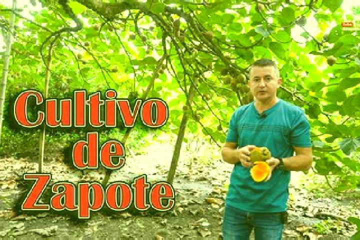 14 escort profiles in Meson Zapote, Mexico. Browse companions, services, rates and book online. Incall and outcall available.