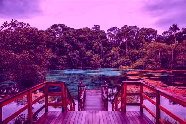 14 escort profiles in Novo Aripuana, Brazil. Browse companions, services, rates and book online. Incall and outcall available.