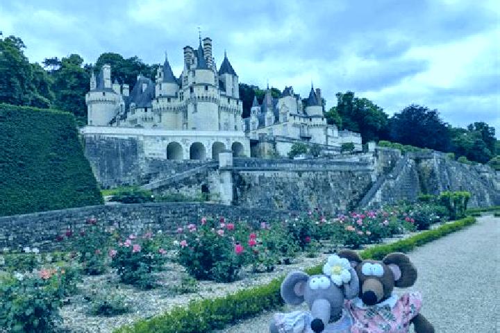 14 escort profiles in Rigny-Usse, France. Browse companions, services, rates and book online. Incall and outcall available.
