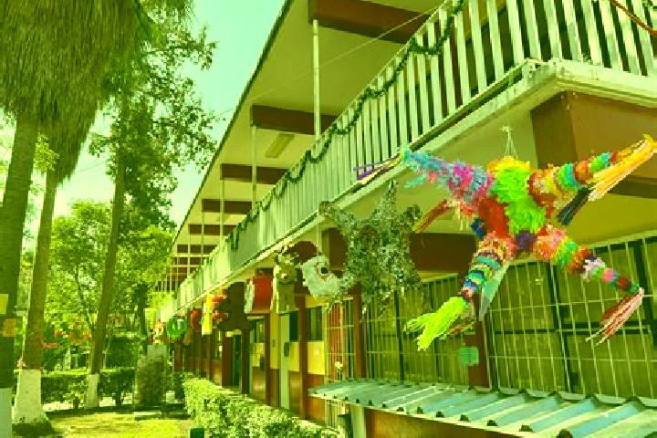 14 escort profiles in San Juan Tepa, Mexico. Browse companions, services, rates and book online. Incall and outcall available.