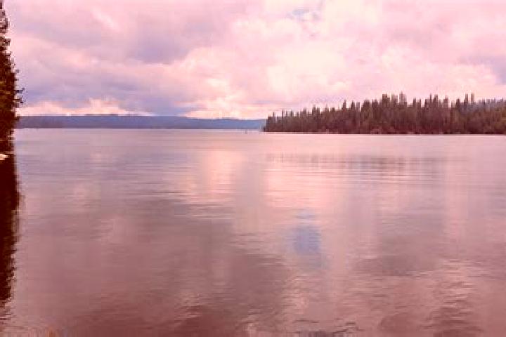 14 escort profiles in Shaver Lake, United States. Browse companions, services, rates and book online. Incall and outcall available.