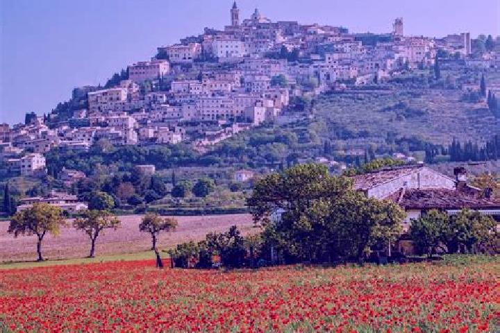 14 escort profiles in Tavernelle, Italy. Browse companions, services, rates and book online. Incall and outcall available.