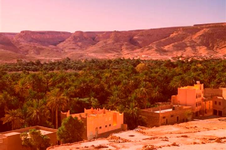 14 escort profiles in Tazarine, Morocco. Browse companions, services, rates and book online. Incall and outcall available.