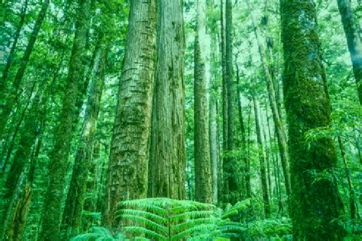 14 escort profiles in Totara Park, New Zealand. Browse companions, services, rates and book online. Incall and outcall available.