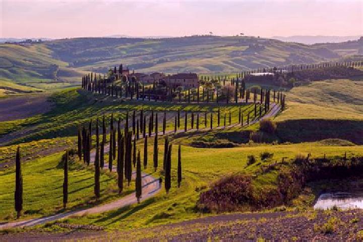 14 escort profiles in Vivo d Orcia, Italy. Browse companions, services, rates and book online. Incall and outcall available.