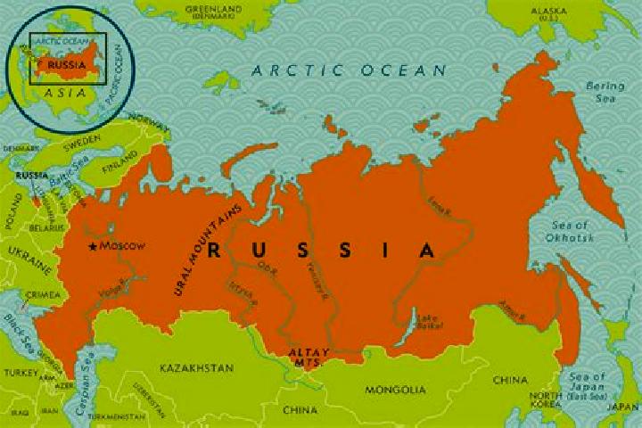 14 escort profiles in Yel nya, Russia. Browse companions, services, rates and book online. Incall and outcall available.