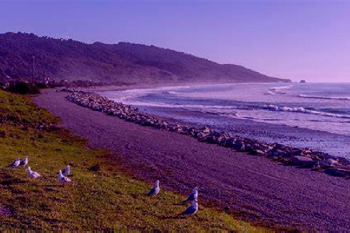 15 escort profiles in Blaketown, New Zealand. Browse companions, services, rates and book online. Incall and outcall available.