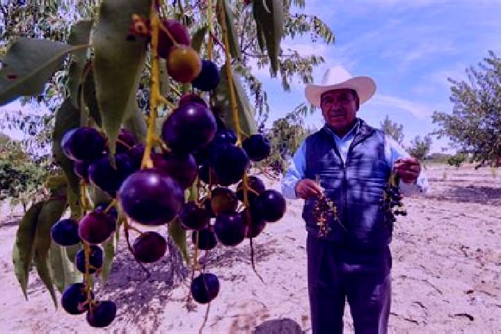 15 escort profiles in Capulin de Bustos, Mexico. Browse companions, services, rates and book online. Incall and outcall available.