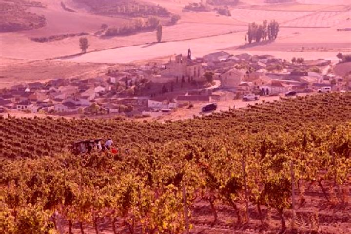 15 escort profiles in Castrillo de Duero, Spain. Browse companions, services, rates and book online. Incall and outcall available.