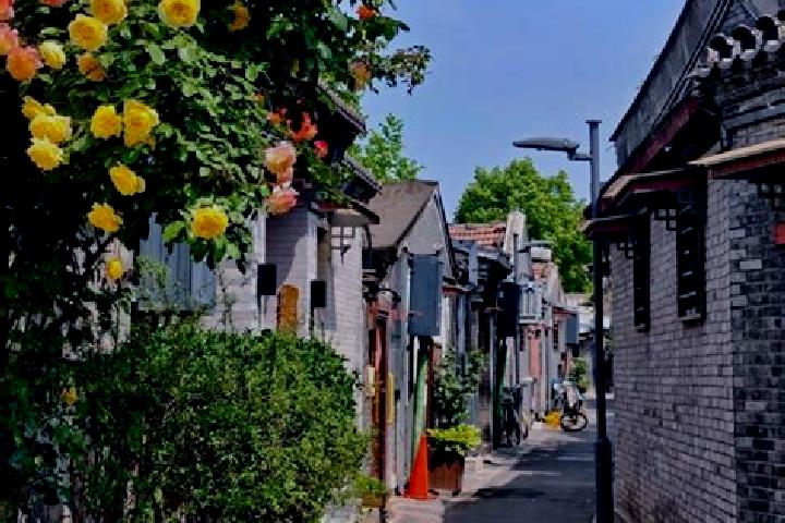 15 escort profiles in Danglang Hudong, China. Browse companions, services, rates and book online. Incall and outcall available.
