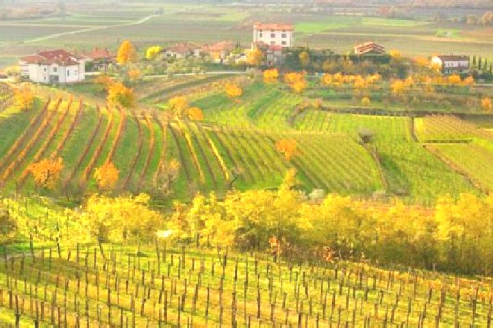 15 escort profiles in Dolegna del Collio, Italy. Browse companions, services, rates and book online. Incall and outcall available.