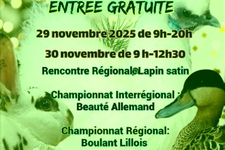 15 escort profiles in Enquin-les-Mines, France. Browse companions, services, rates and book online. Incall and outcall available.