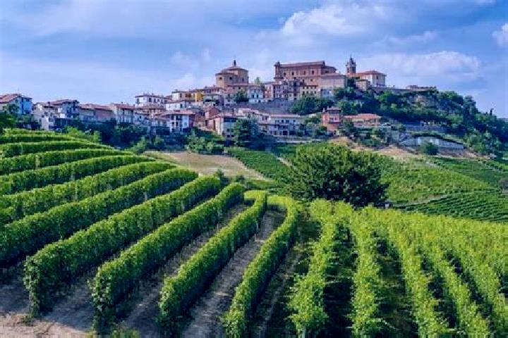 15 escort profiles in Frassinello Monferrato, Italy. Browse companions, services, rates and book online. Incall and outcall available.