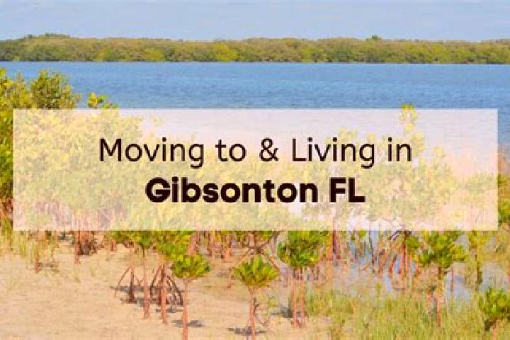 15 escort profiles in Gibsonton, United States. Browse companions, services, rates and book online. Incall and outcall available.