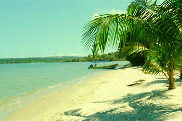 15 escort profiles in Guanagazapa, Guatemala. Browse companions, services, rates and book online. Incall and outcall available.