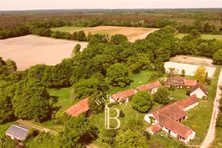 15 escort profiles in Gy-en-Sologne, France. Browse companions, services, rates and book online. Incall and outcall available.