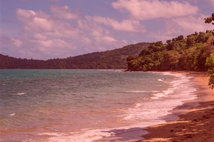 15 escort profiles in Iloni, Mayotte. Browse companions, services, rates and book online. Incall and outcall available.