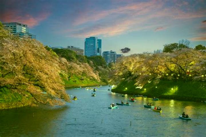 15 escort profiles in Komagome, Japan. Browse companions, services, rates and book online. Incall and outcall available.