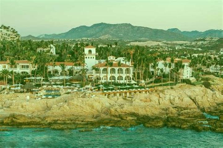 15 escort profiles in La Palmilla, Mexico. Browse companions, services, rates and book online. Incall and outcall available.