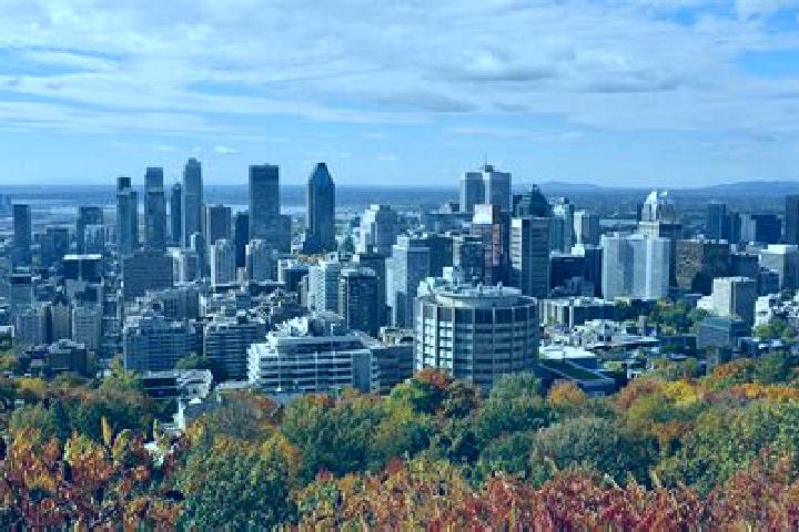 15 escort profiles in Mont-Royal, Canada. Browse companions, services, rates and book online. Incall and outcall available.