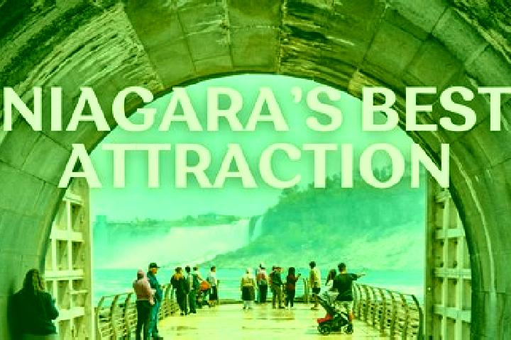 15 escort profiles in Niagara Park, Australia. Browse companions, services, rates and book online. Incall and outcall available.