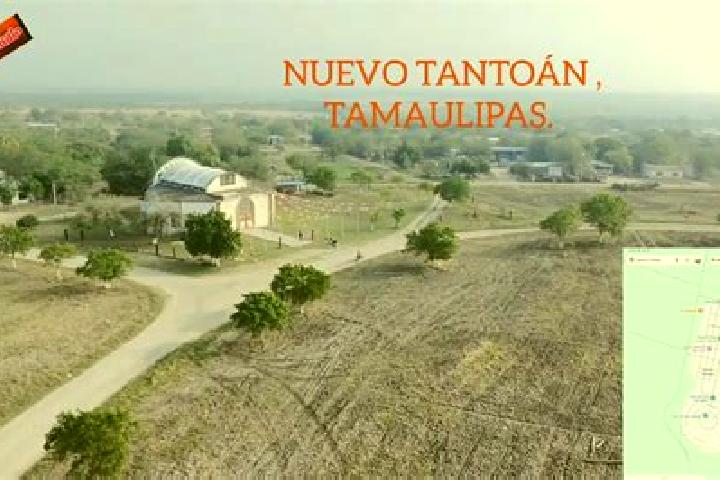 15 escort profiles in Nuevo Tantoan, Mexico. Browse companions, services, rates and book online. Incall and outcall available.