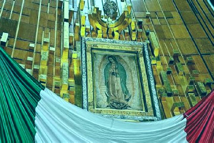 15 escort profiles in Palmar de Guadalupe, Mexico. Browse companions, services, rates and book online. Incall and outcall available.