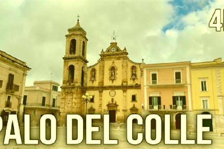 15 escort profiles in Palo del Colle, Italy. Browse companions, services, rates and book online. Incall and outcall available.
