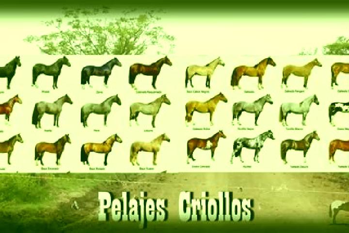 15 escort profiles in Puerto General Nicolas Bravo (Filo de Caballos), Mexico. Browse companions, services, rates and book online. Incall and outcall available.