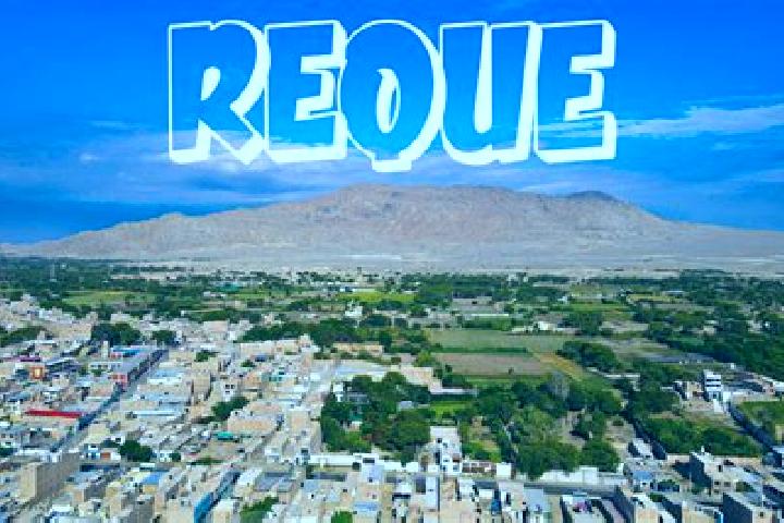 15 escort profiles in Reque, Peru. Browse companions, services, rates and book online. Incall and outcall available.