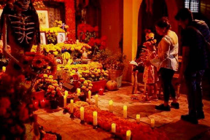 15 escort profiles in San Andres Huaxpaltepec, Mexico. Browse companions, services, rates and book online. Incall and outcall available.