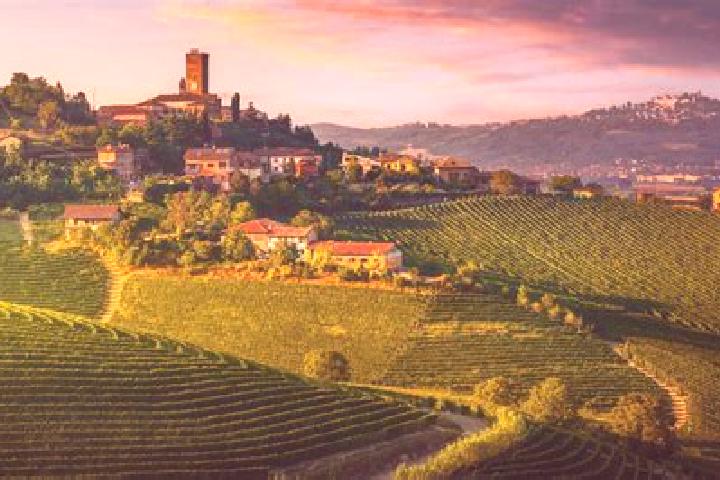 15 escort profiles in Serravalle Langhe, Italy. Browse companions, services, rates and book online. Incall and outcall available.