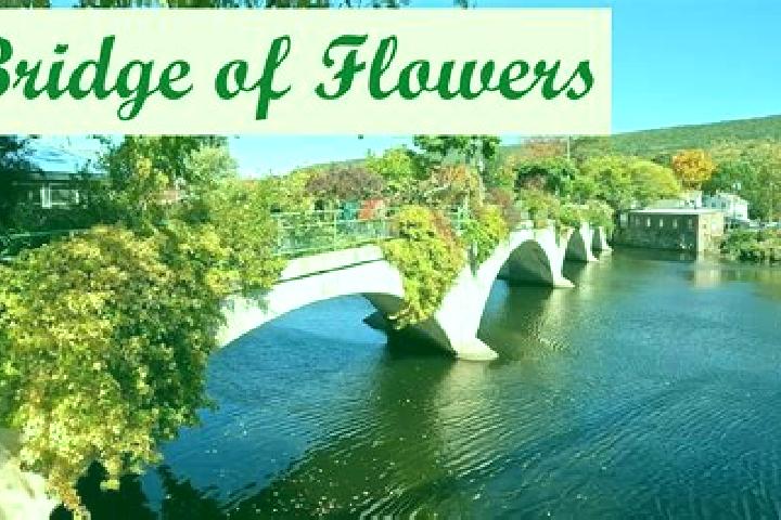 15 escort profiles in Shelburne Falls, United States. Browse companions, services, rates and book online. Incall and outcall available.