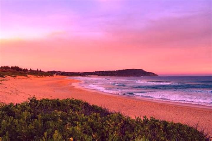 15 escort profiles in Shelly Beach, Australia. Browse companions, services, rates and book online. Incall and outcall available.