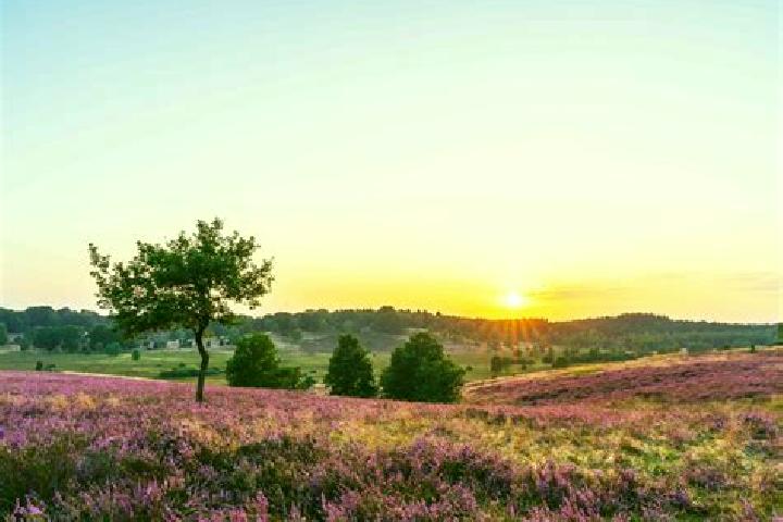 15 escort profiles in Woenselse Heide, Netherlands. Browse companions, services, rates and book online. Incall and outcall available.