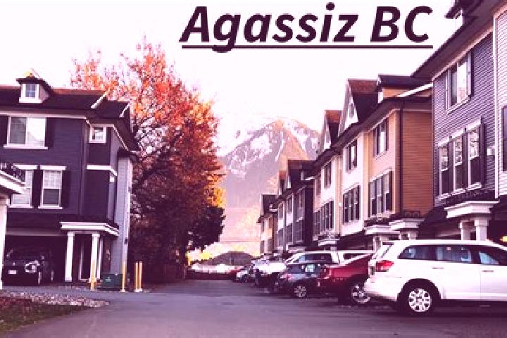 6 escort profiles in Agassiz, Canada. Browse companions, services, rates and book online. Incall and outcall available.