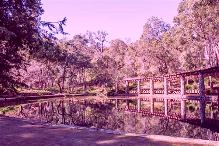 6 escort profiles in Bungendore, Australia. Browse companions, services, rates and book online. Incall and outcall available.