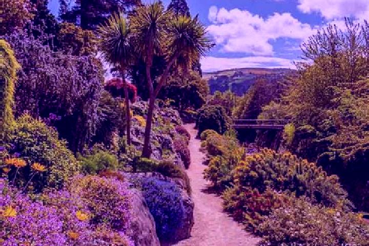 6 escort profiles in Edgecumbe, New Zealand. Browse companions, services, rates and book online. Incall and outcall available.