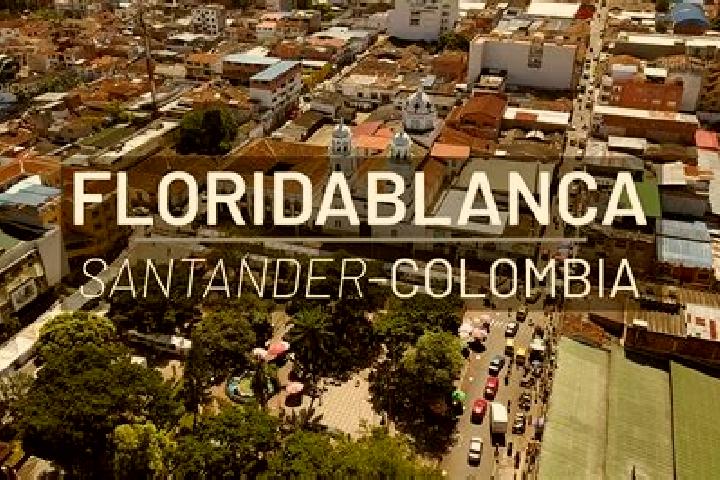 6 escort profiles in Floridablanca, Colombia. Browse companions, services, rates and book online. Incall and outcall available.