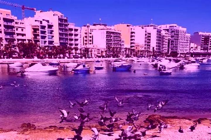6 escort profiles in Gzira, Malta. Browse companions, services, rates and book online. Incall and outcall available.