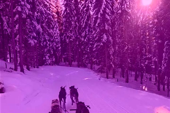 6 escort profiles in Klaffer am Hochficht, Austria. Browse companions, services, rates and book online. Incall and outcall available.