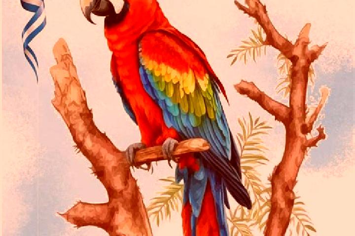 6 escort profiles in La Guacamaya, Honduras. Browse companions, services, rates and book online. Incall and outcall available.
