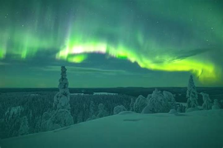 6 escort profiles in Lappi, Finland. Browse companions, services, rates and book online. Incall and outcall available.