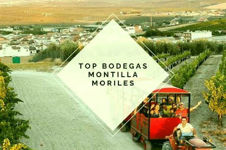 6 escort profiles in Moriles, Spain. Browse companions, services, rates and book online. Incall and outcall available.