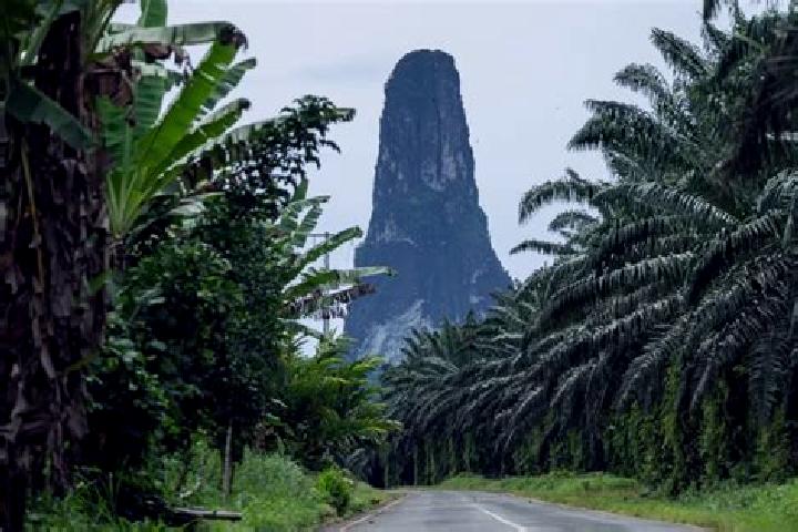6 escort profiles in Pantufo, Sao Tome and Principe. Browse companions, services, rates and book online. Incall and outcall available.