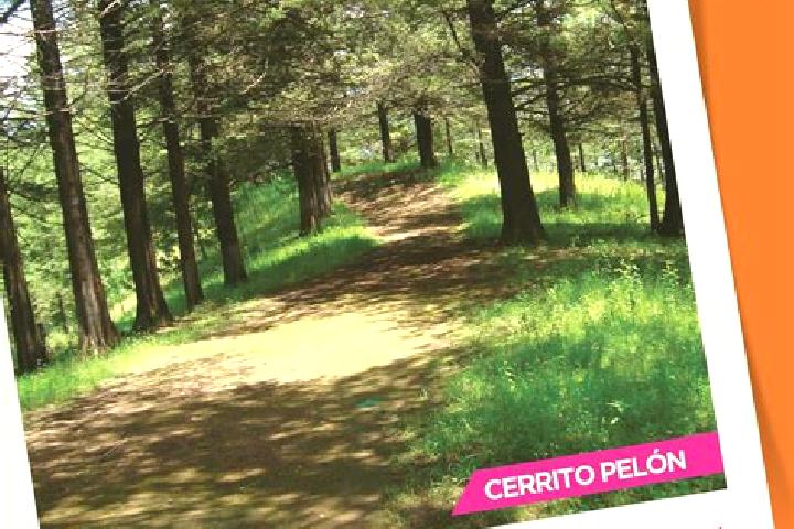 6 escort profiles in Paracho de Verduzco, Mexico. Browse companions, services, rates and book online. Incall and outcall available.