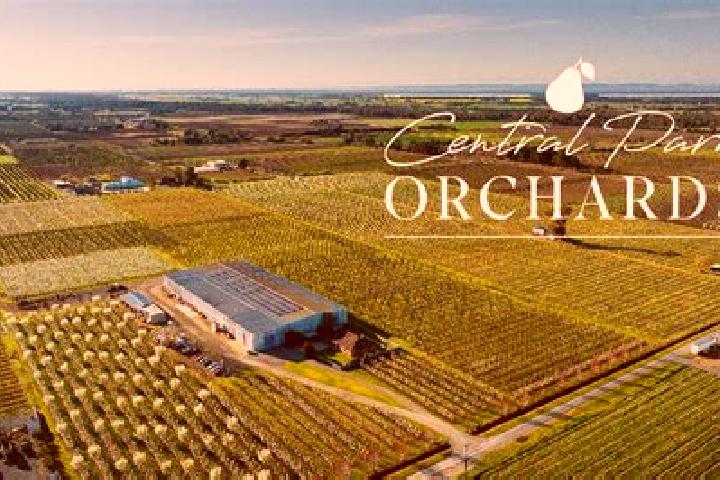 6 escort profiles in Park Orchards, Australia. Browse companions, services, rates and book online. Incall and outcall available.